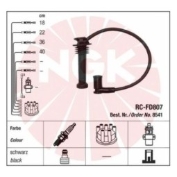 NGK RC-FD807