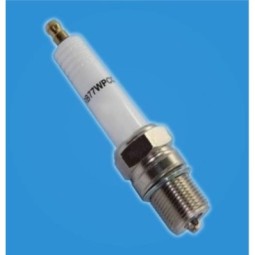 CHAMPION RB77WPCC -...