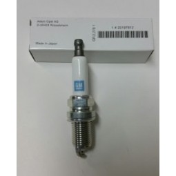 GM 25197812-R6 IRIDIUM